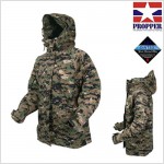 ��ǰ�̹���