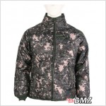 ��ǰ�̹���